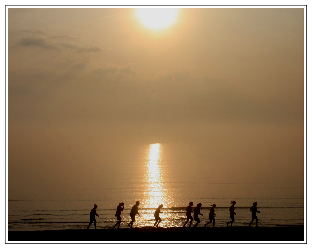 Strandläufer