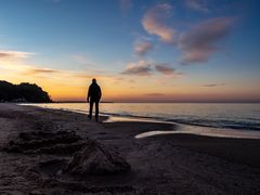 Strandläufer