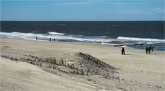 Strandläufer