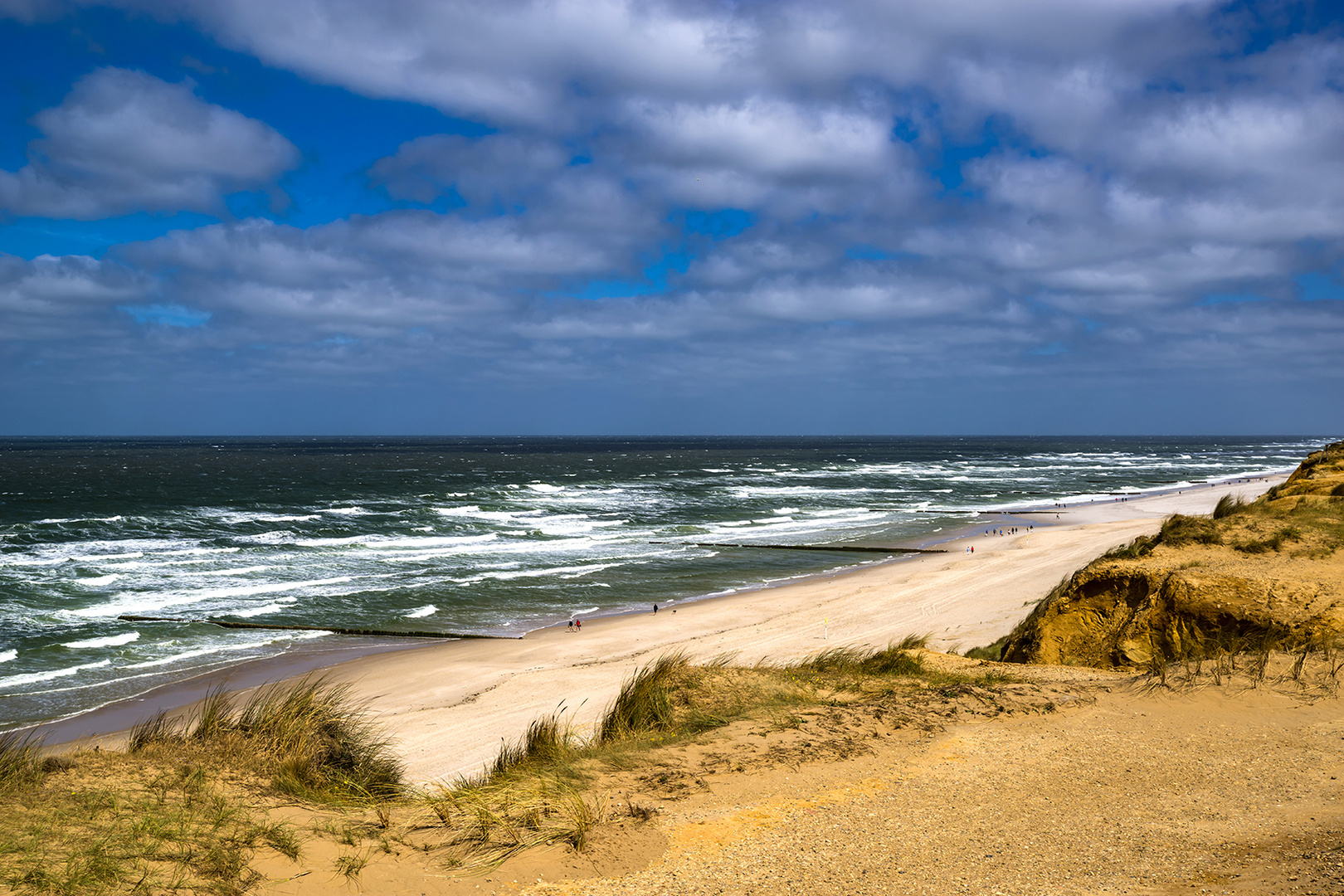 Strandläufer bei Kampen