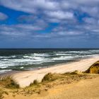 Strandläufer bei Kampen