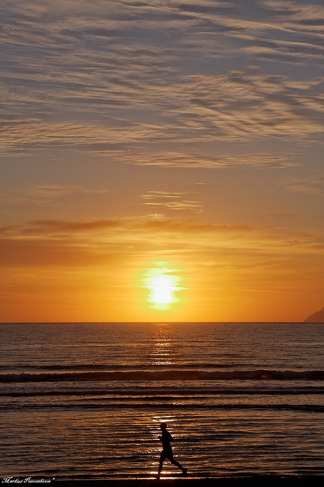 " Strandläufer "