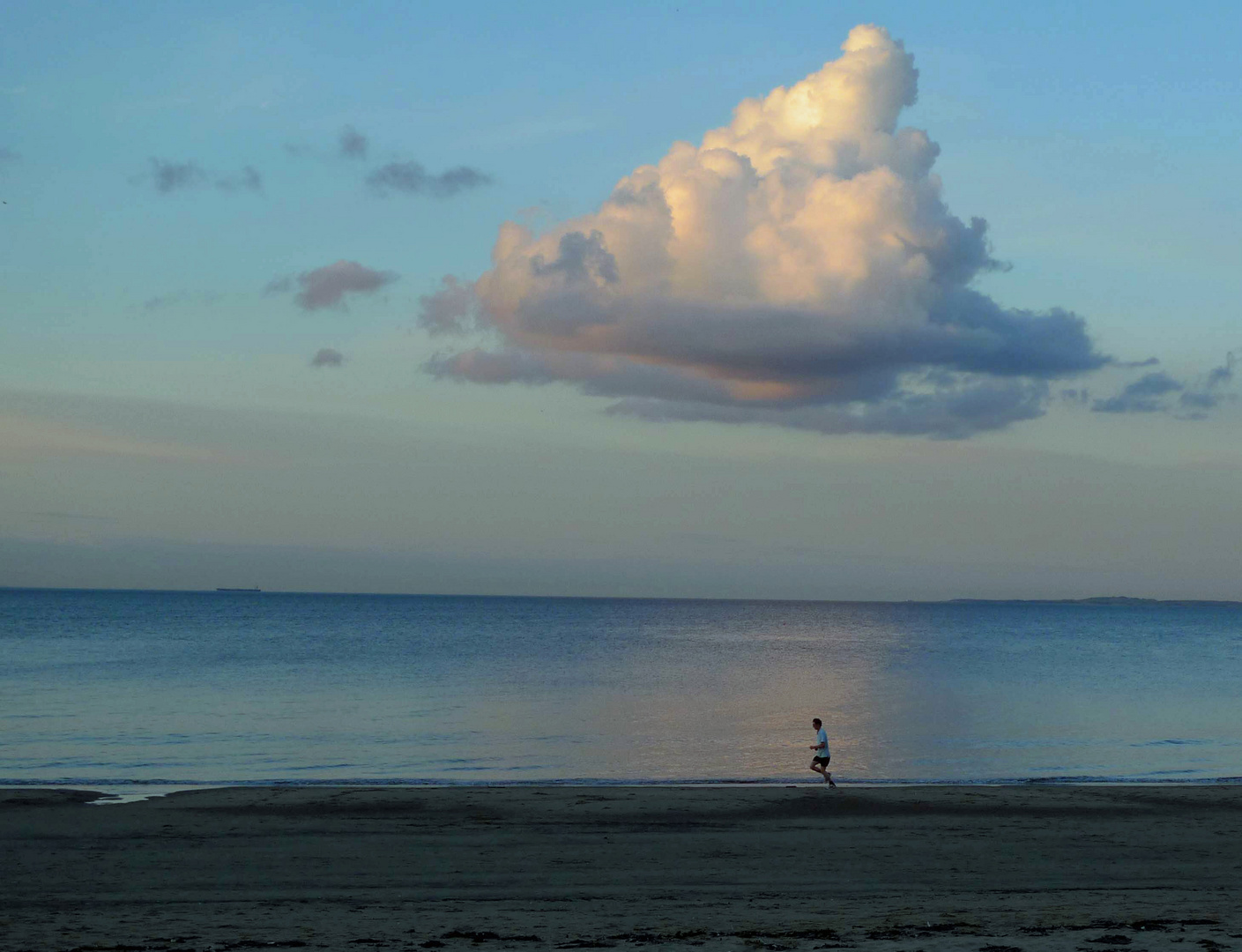 Strandläufer