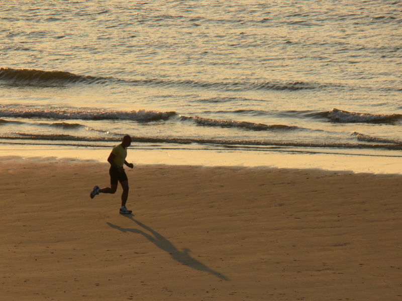 Strandläufer