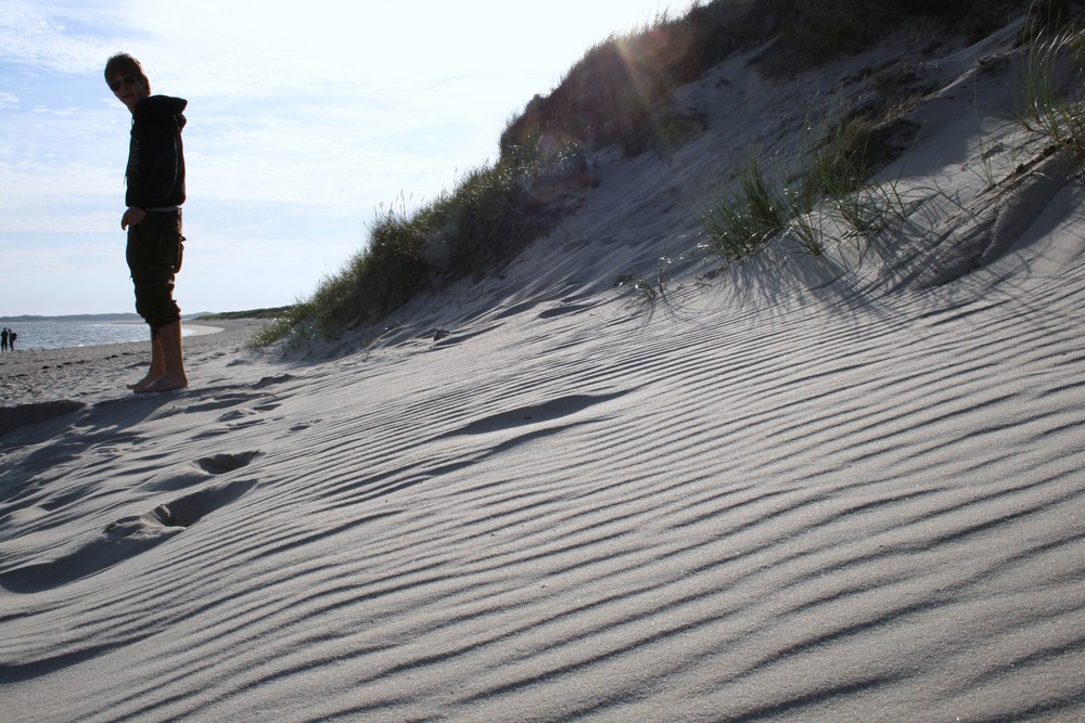 strandläufer