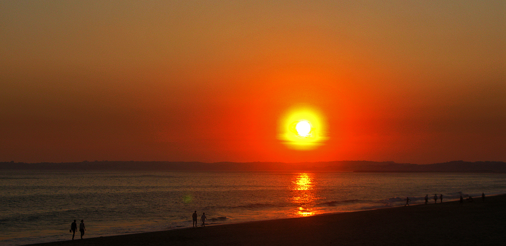 Strandläufer