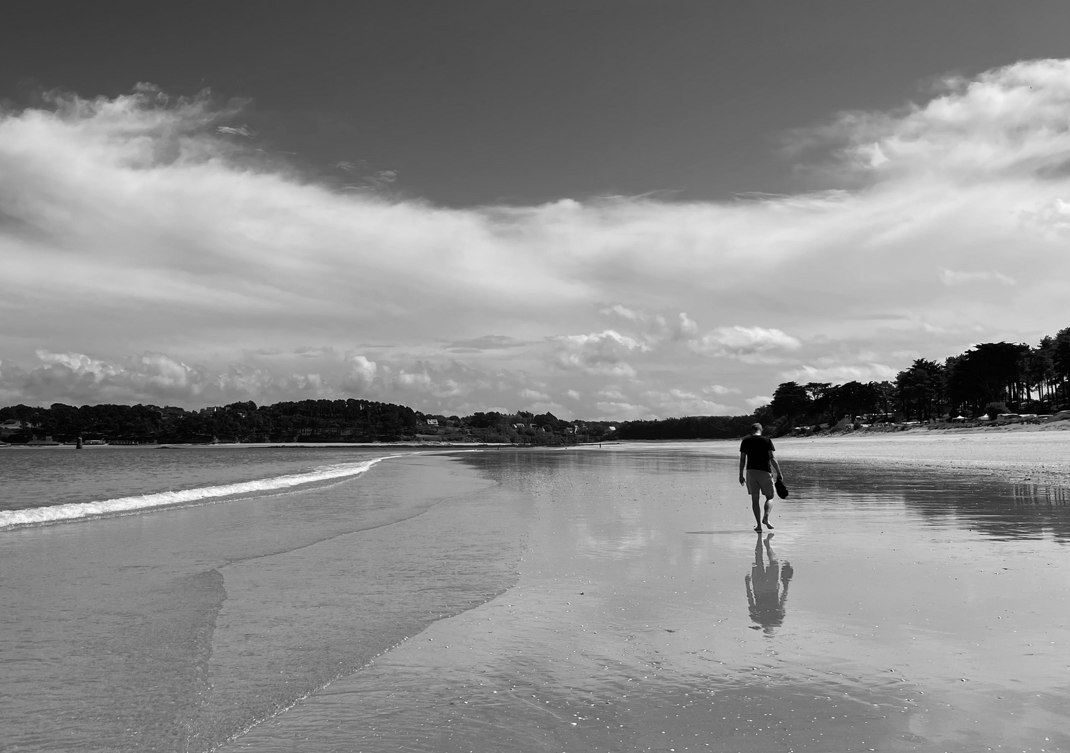 Strandläufer