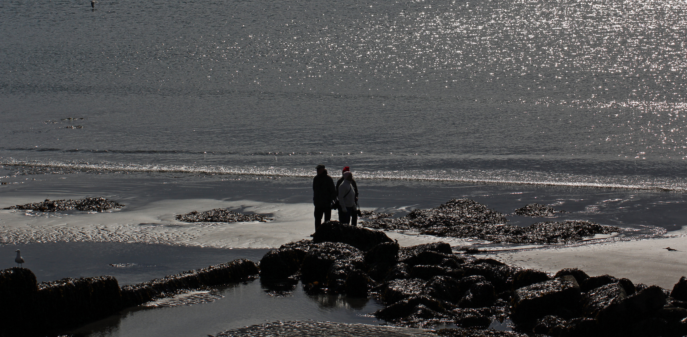 Strandläufer Charlestown (Cornwall)