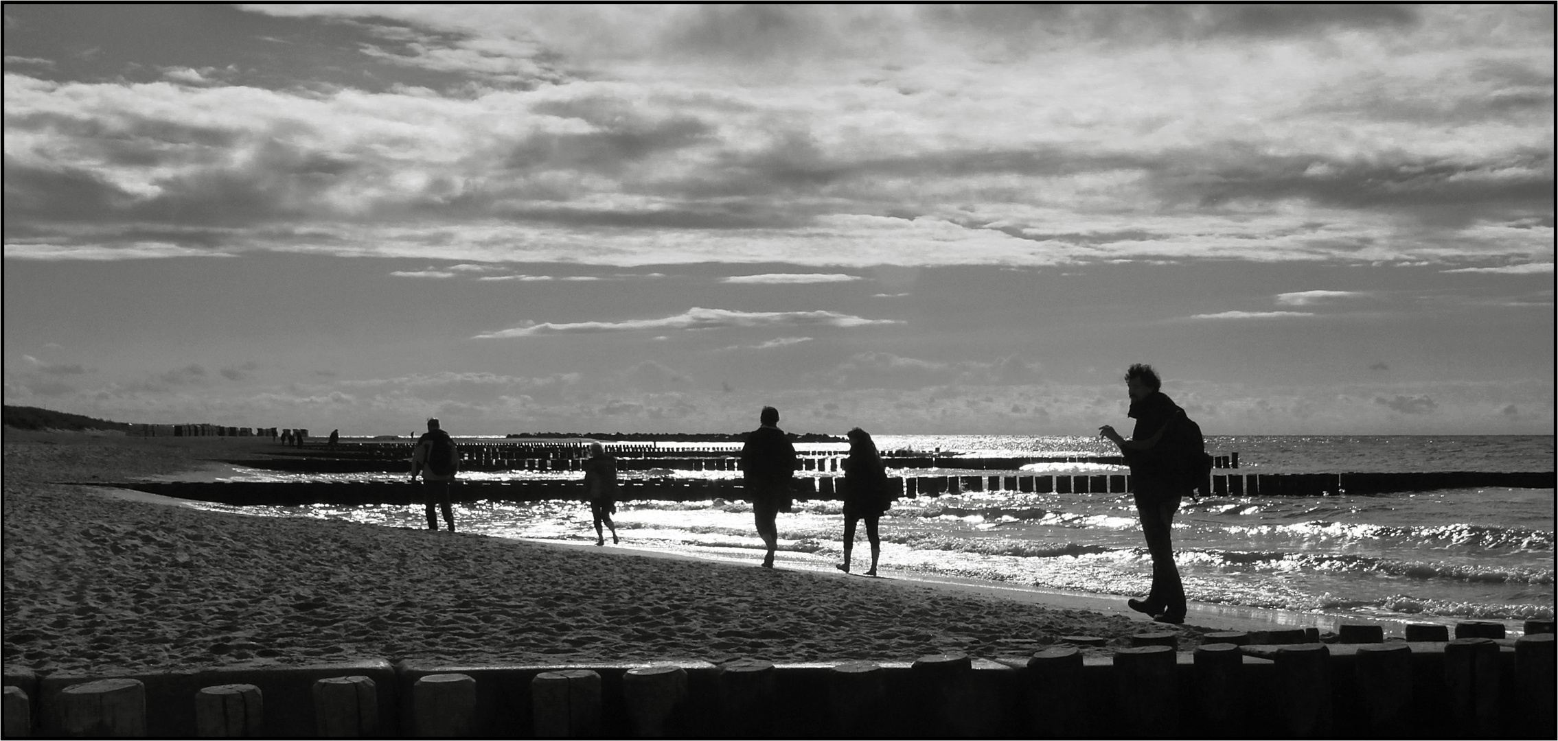 Strandläufer.