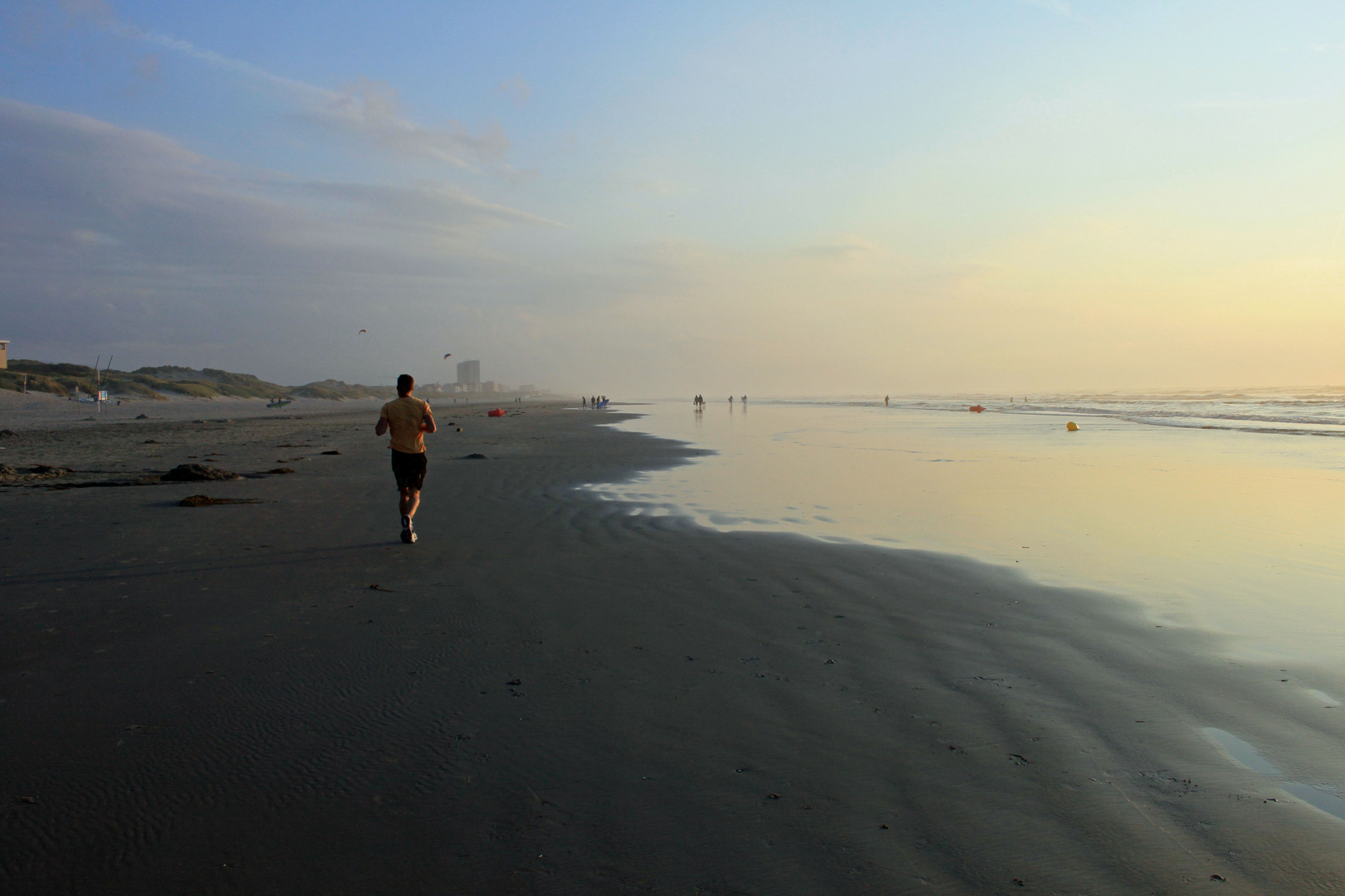 Strandläufer