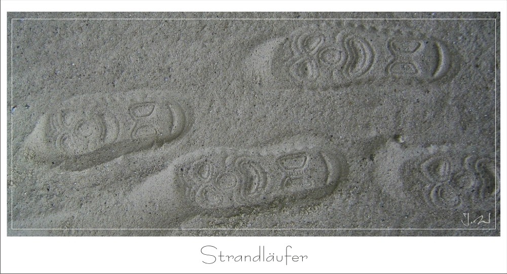 Strandläufer