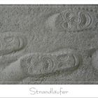 Strandläufer