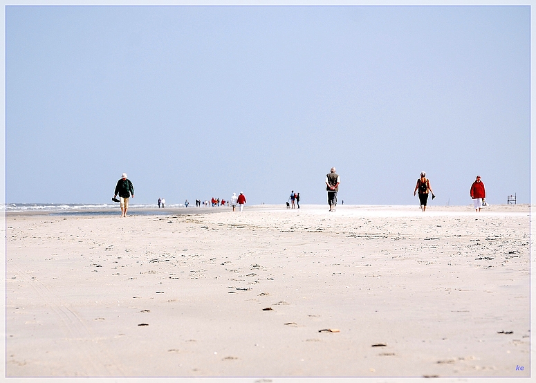 strandläufer