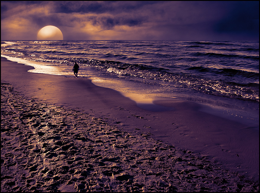 Strandläufer..