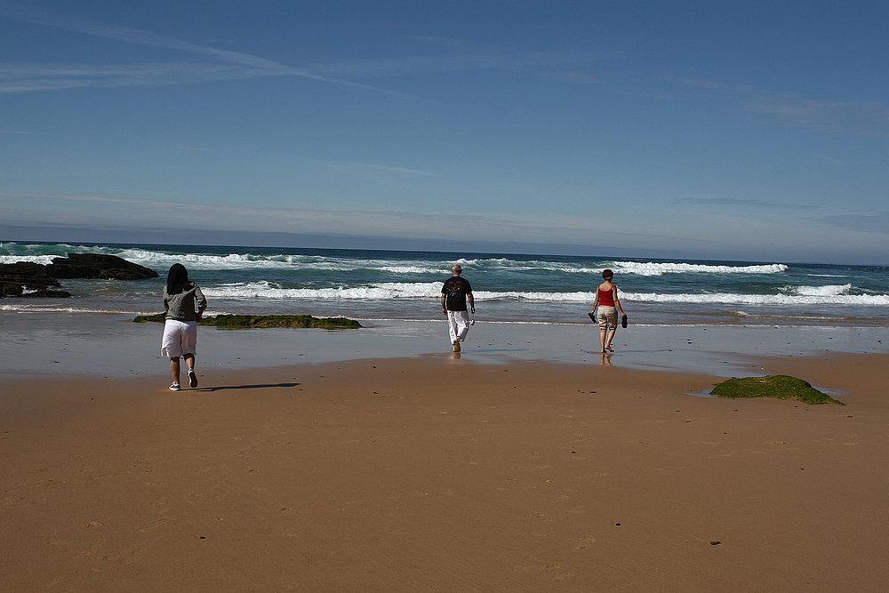 Strandläufer