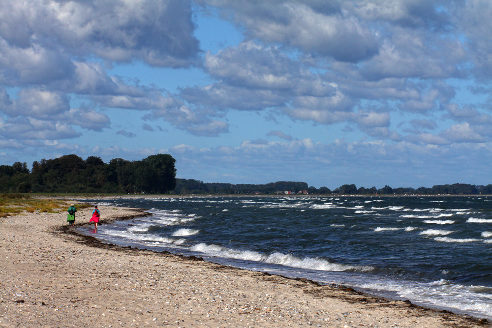 Strandläufer