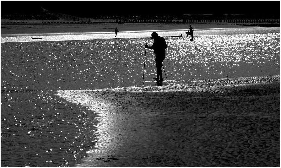 Strandläufer ...