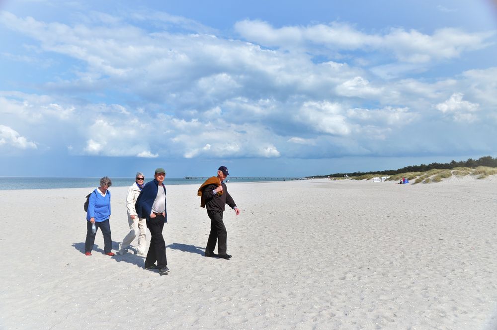 Strandläufer