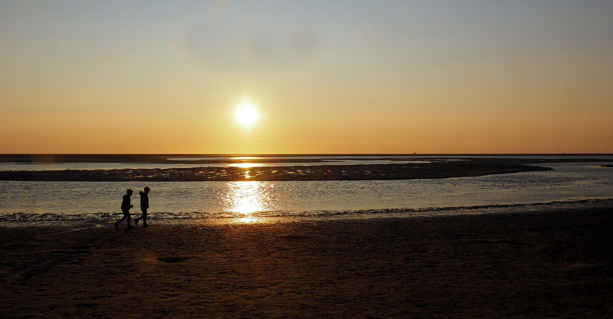 Strandläufer.. 