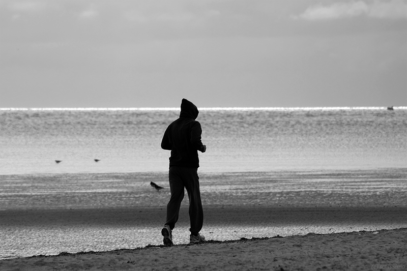 Strandläufer