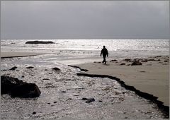 Strandläufer...