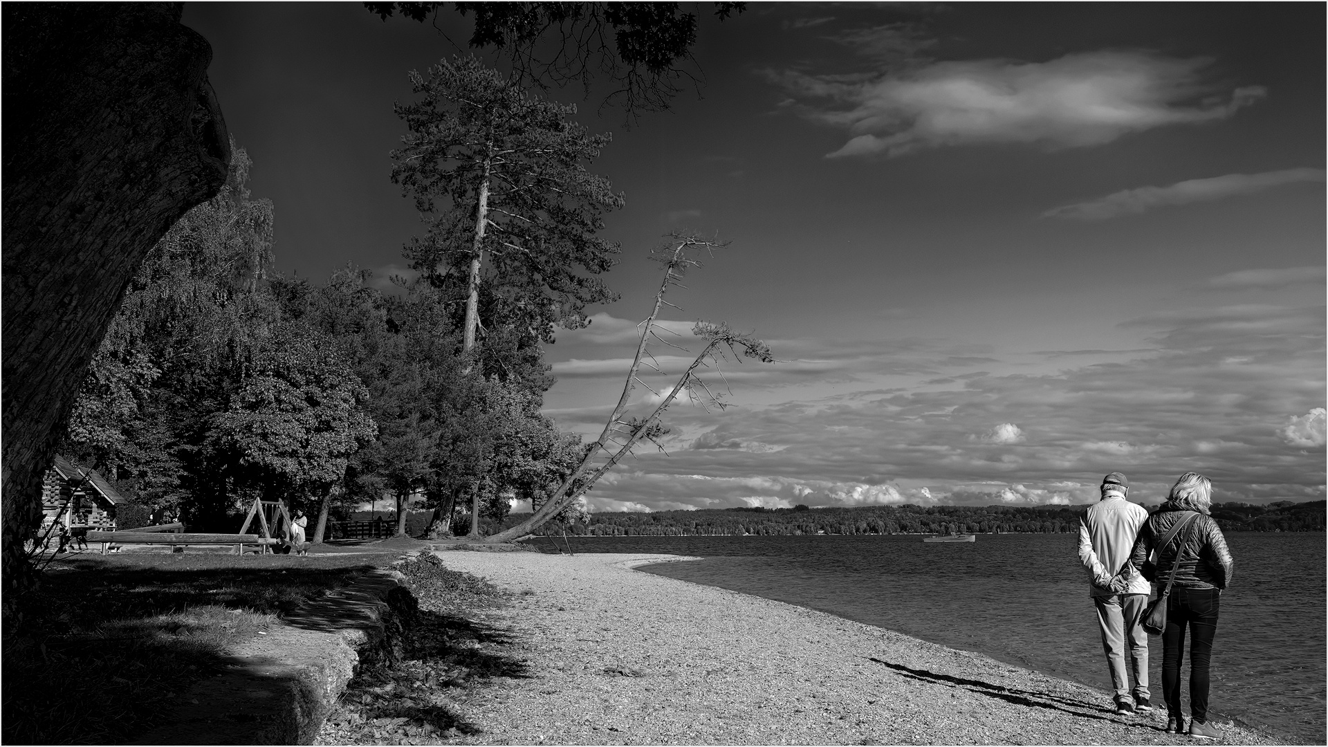 Strandläufer