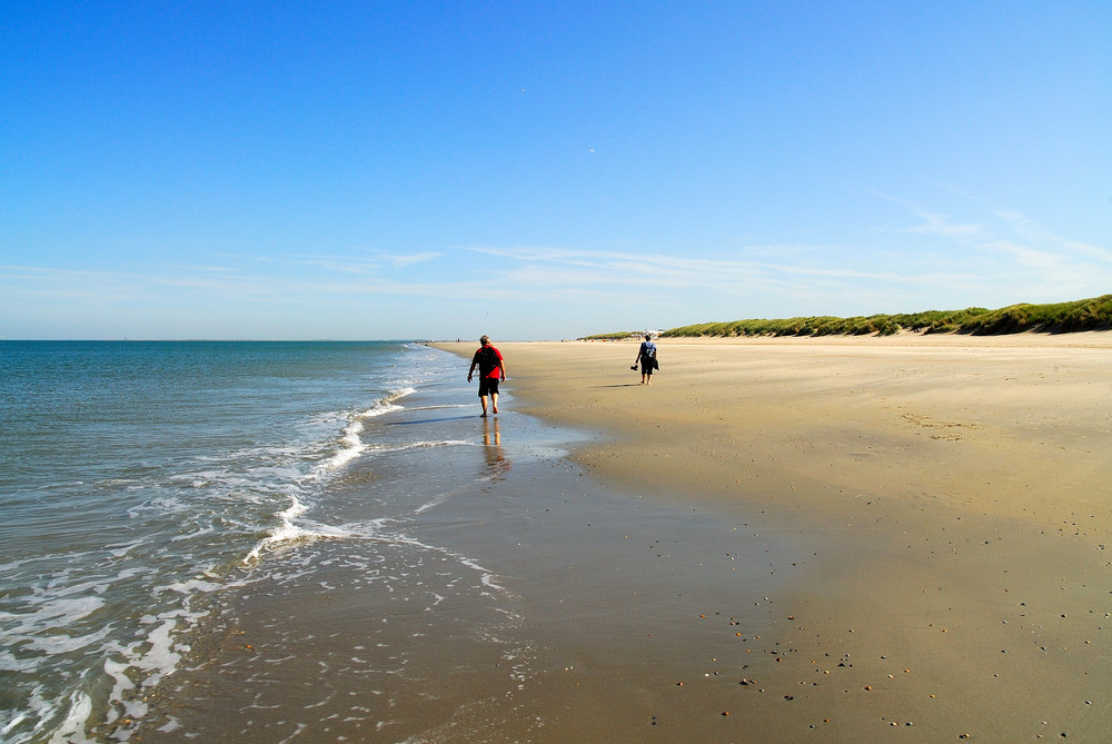 Strandläufer