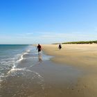 Strandläufer