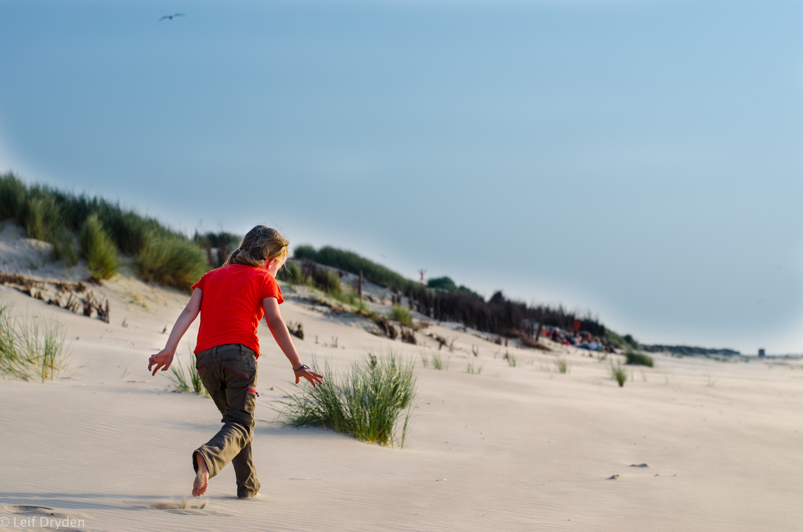 Strandläufer