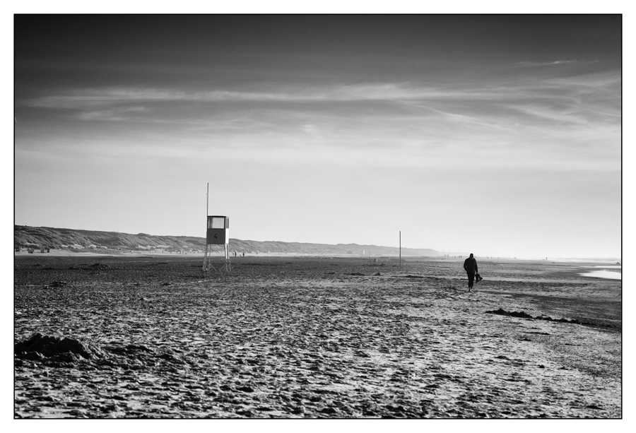 Strandläufer