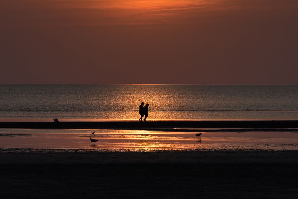 Strandläufer