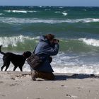 ...Strandläufer fotografieren...