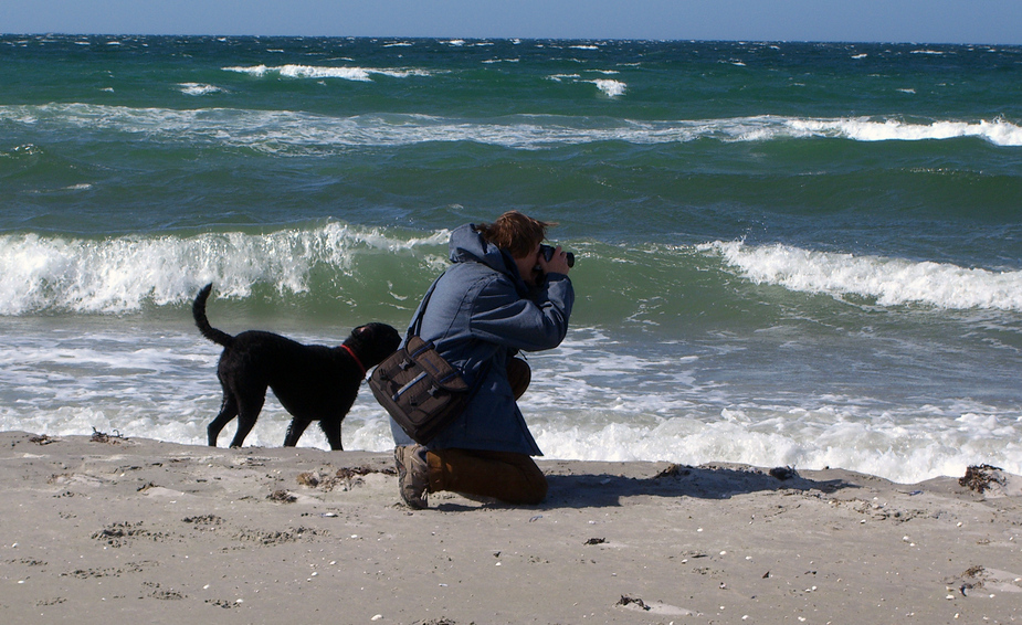 ...Strandläufer fotografieren...