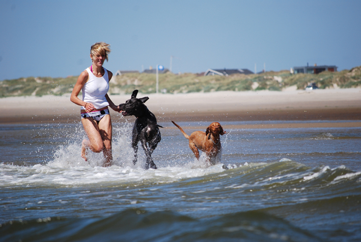 Strandläufer - gemeinsam fit in den Tag starten...