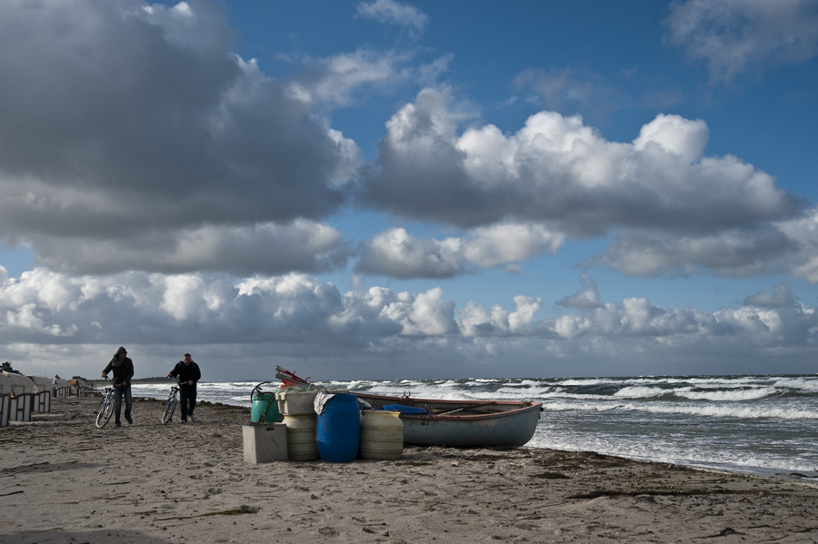 Strandläufer - Hiddensse 2011