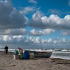 Strandläufer - Hiddensse 2011