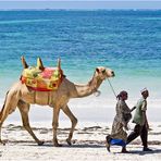 strandläufer I .......