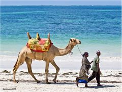 strandläufer I .......