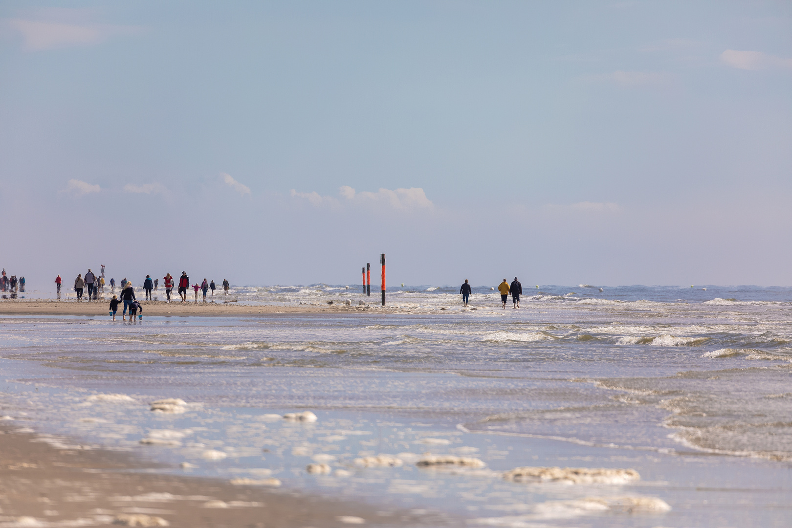 Strandläufer im Küstenwind