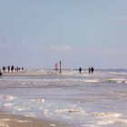 Strandläufer im Küstenwind