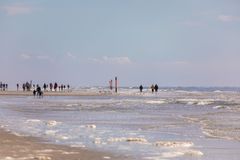 Strandläufer im Küstenwind