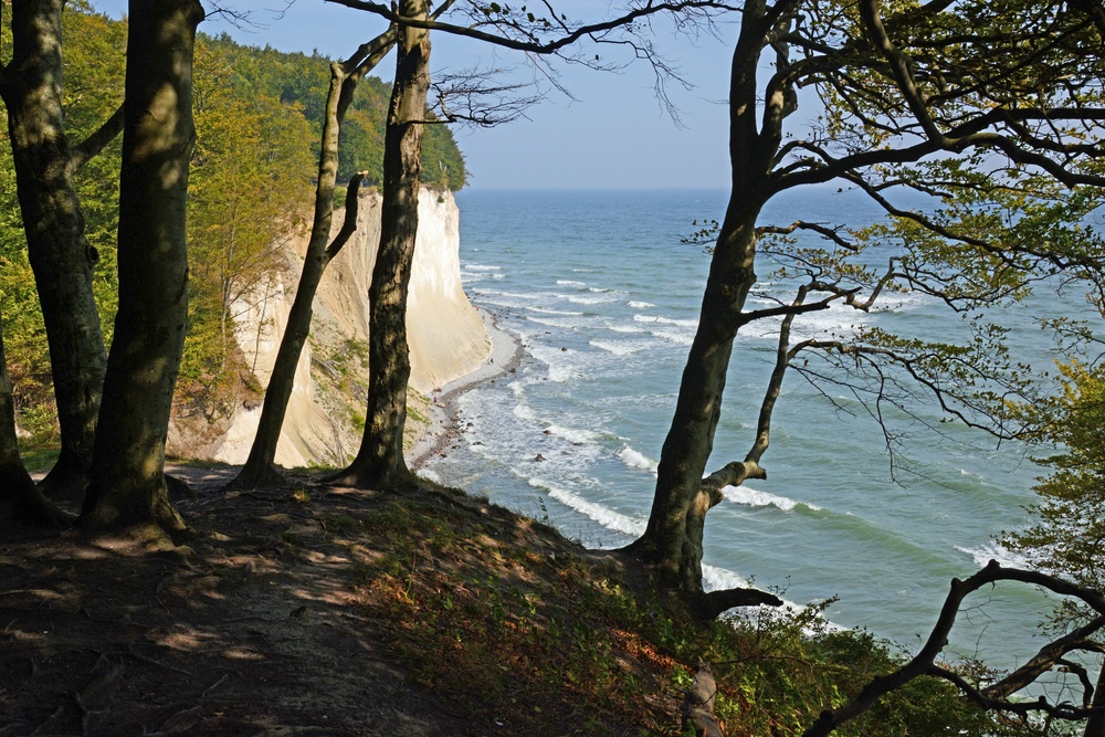 Strandläufer im Nationalpark Jasmund - Insel Rügen