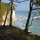 Strandläufer im Nationalpark Jasmund - Insel Rügen