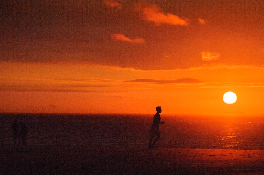 Strandläufer im Sunset