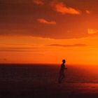 Strandläufer im Sunset