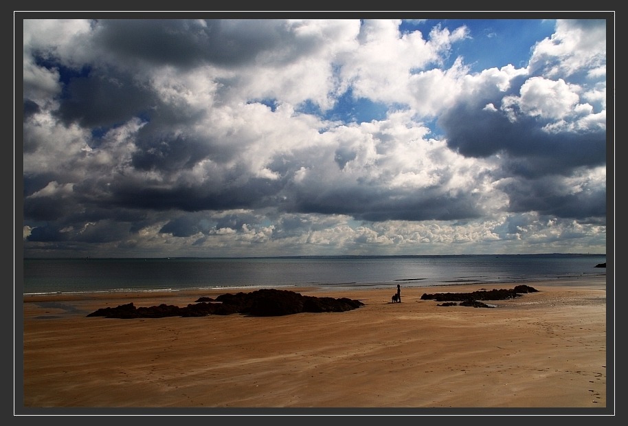 Strandläufer [K]