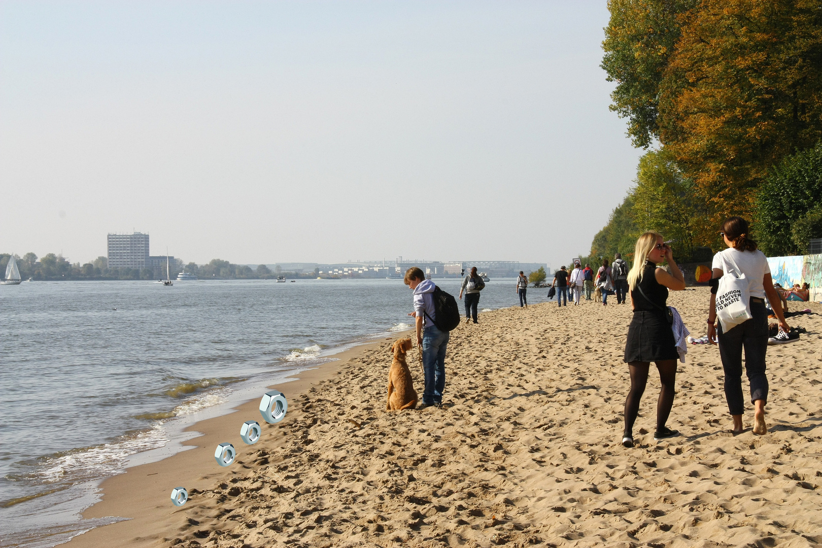 "Strandläufer"  Mutter und ihre Kleinen im Gänsemarsch