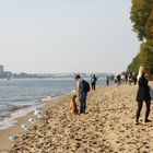 "Strandläufer"  Mutter und ihre Kleinen im Gänsemarsch