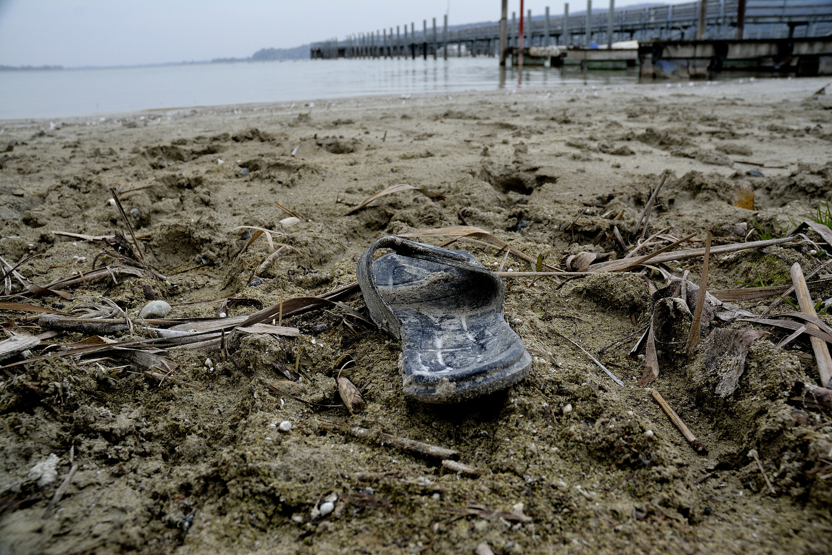 Strandläufer No. 2