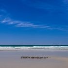 Strandläufer, Plage de Tronoen, Bretagne, France